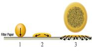New Method for Evaluating Lubricant Dispersancy