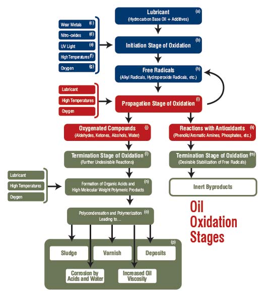 Identifying the Stages of Oil Oxidation